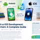 System%20Software%20Development%20Solution